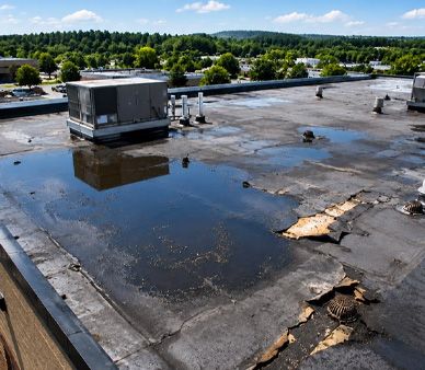 Best Waterproofing consultant in Faridabad